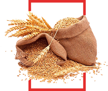 Amāt Attas Wheat Sack